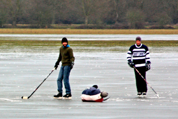 Ice hockey faller