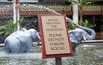 Rocks and Elephants