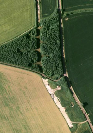 Zeals Dispersal Points