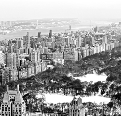 Central Park from Rockefeller Tower