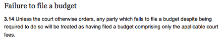FailureToFileBudget