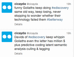 Cicaydatweets
